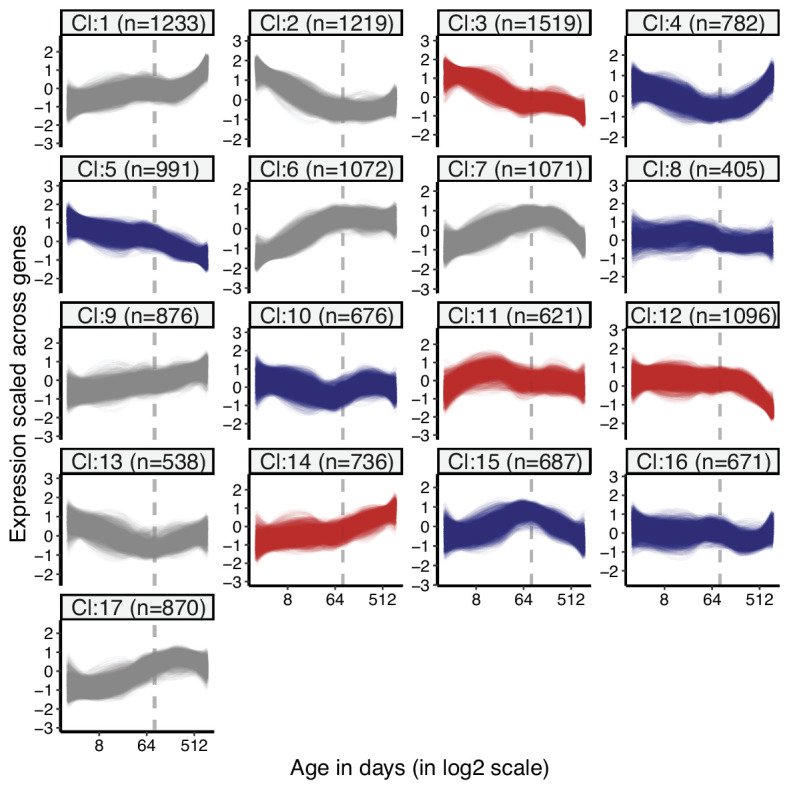 Figure 1—figure supplement 13.