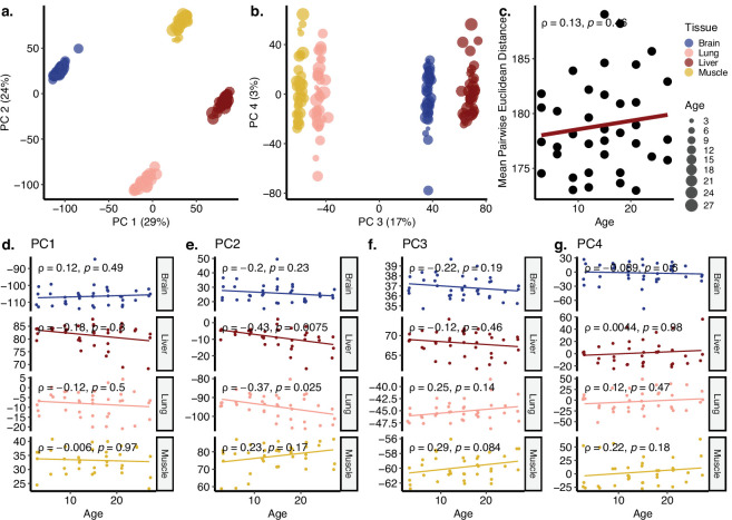 Figure 2—figure supplement 17.