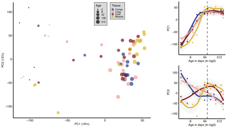 Figure 1—figure supplement 2.