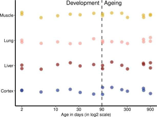 Figure 1—figure supplement 1.