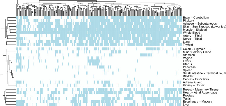 Figure 2—figure supplement 13.