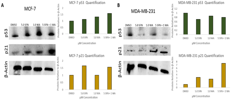 Fig. 8.