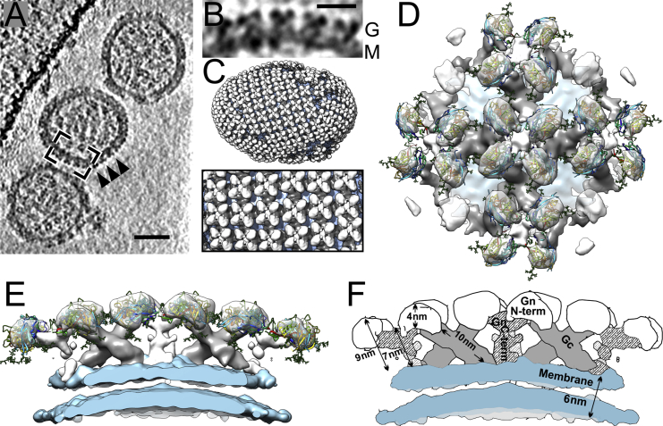 Figure 2