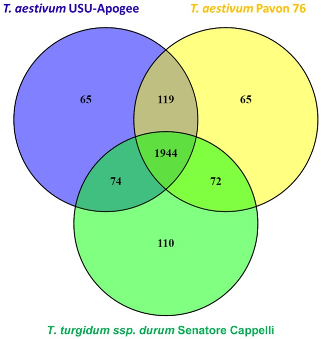 FIGURE 3