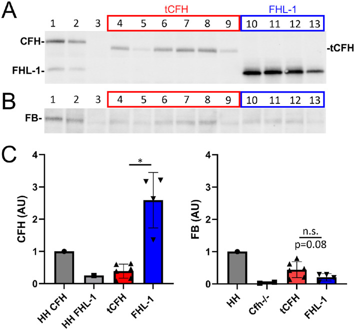 Figure 6.