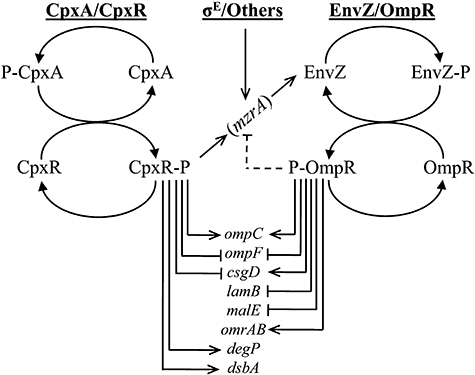 Fig. 10