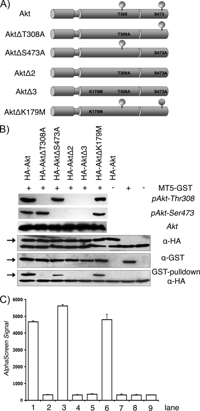 FIG. 6.