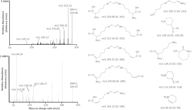 Fig. 1.