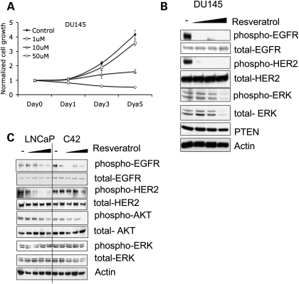 Figure 4.