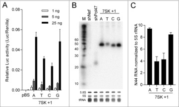 Figure 2.