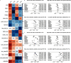 Figure 5A is a heatmap showing the exposure loadings the first four principal components, namely, PC1, PC2, PC3, and PC4. Figure 5B consists four forest plots showing associations with family education level for locations Oslo, Kaunas, Bradford, Nancy, Poitiers, Gipuzkoa, Sabadell, Valencia, and Heraklion, and R E model for the following factors: greener, less urban N O 2 (PC1 31 percent); high traffic, noise and air pollution, less populous (PC2 10 percent); noisy, low air pollution, walkable, mixed use (PC3 8 percent); and low traffic, high P M, natural space, and walkable (PC4 7 percent). Figure 5C consists four forest plots showing associations with area level S E P for locations Oslo, Kaunas, Bradford, Nancy, Poitiers, Gipuzkoa, Sabadell, Valencia, and Heraklion, and R E model for the following factors: greener, less urban N O 2 (PC1 31 percent); high traffic, noise and air pollution, less populous (PC2 10 percent); noisy, low air pollution, walkable, mixed use (PC3 8 percent); and low traffic, high P M, natural space, and walkable (PC4 7 percent).