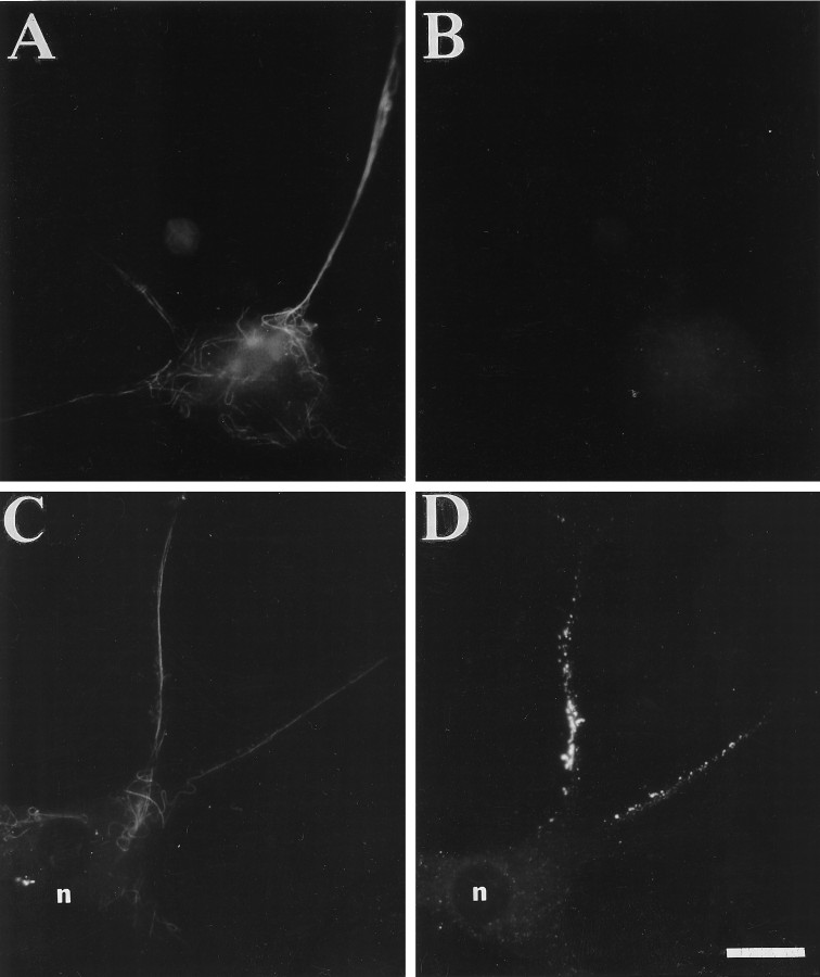 Fig. 9.