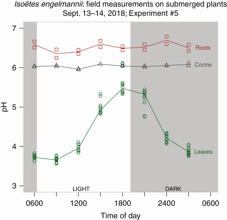 Fig. 3.