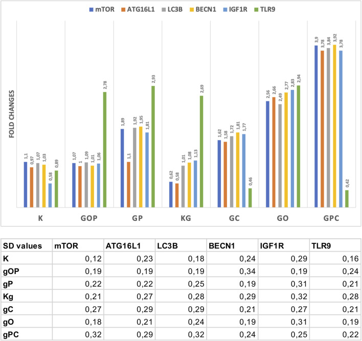 FIGURE 4