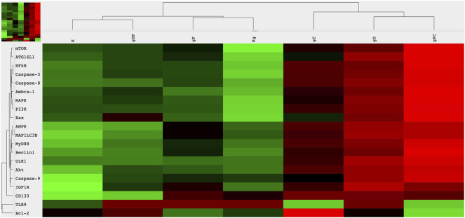 FIGURE 3