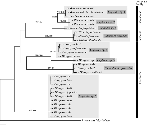 Figure 3.