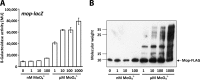 FIG 2