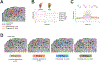 Figure 2 |
