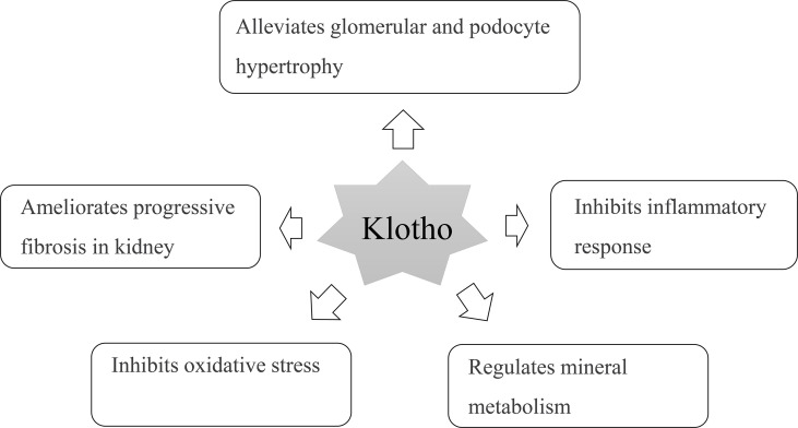 Figure 5