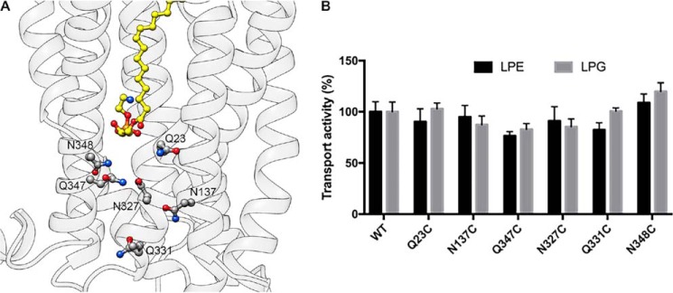 Figure 9.