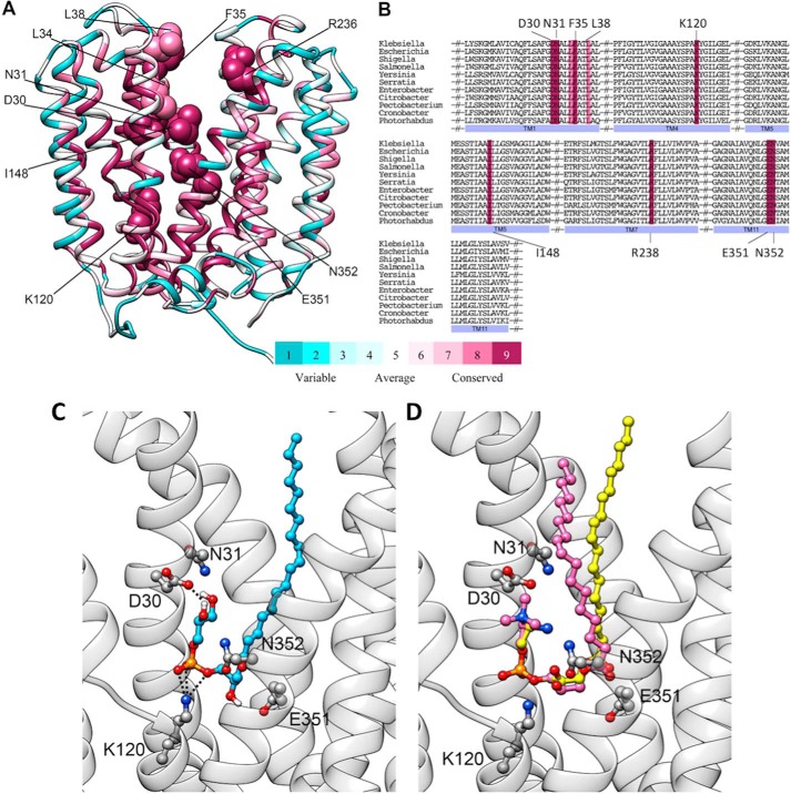 Figure 6.