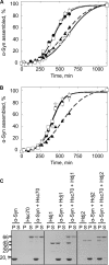 FIGURE 7.