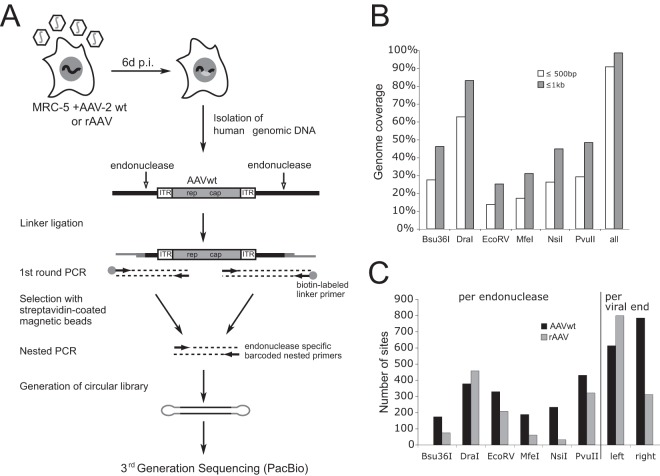 FIG 1