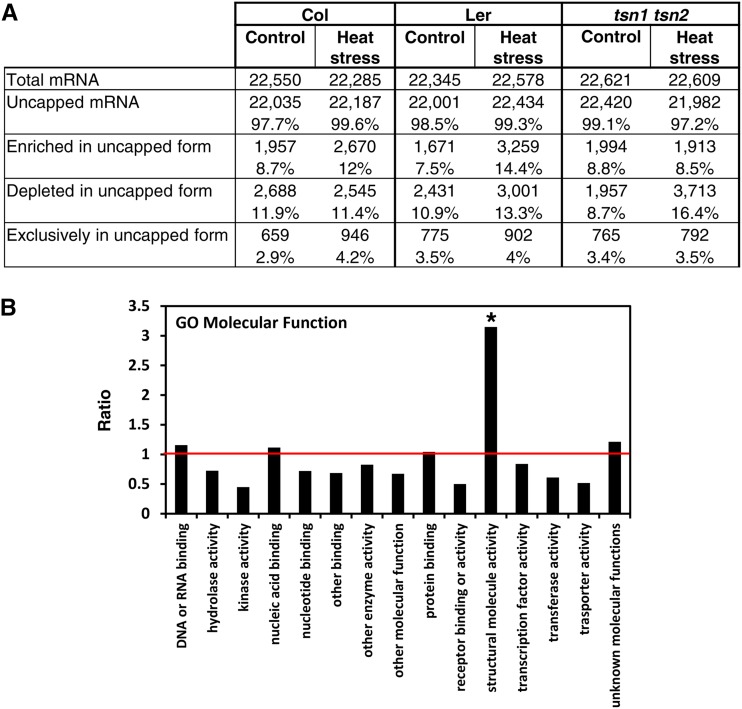 Figure 11.