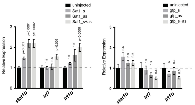 Figure 5—figure supplement 2.