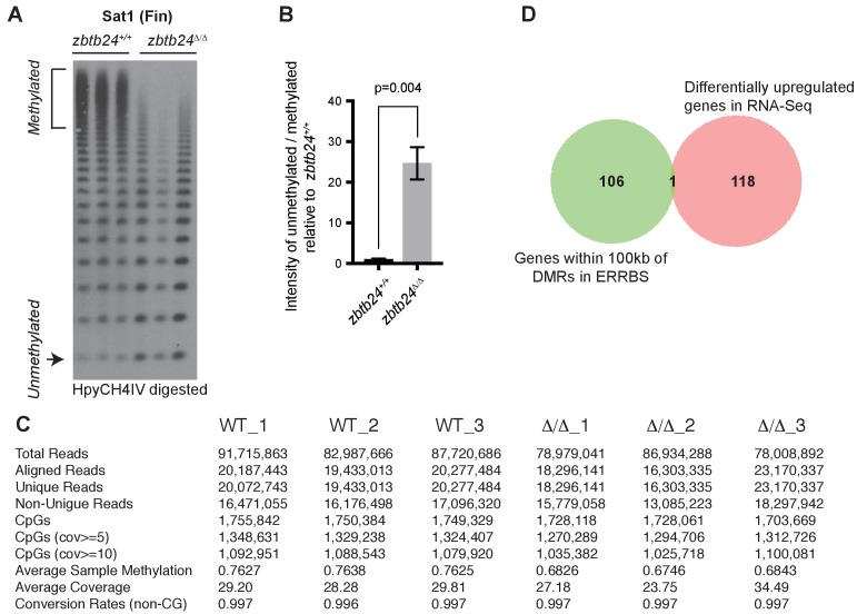 Figure 2—figure supplement 3.