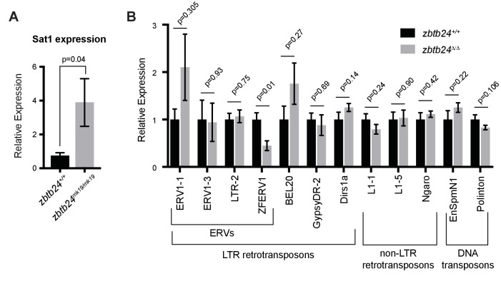 Figure 5—figure supplement 1.