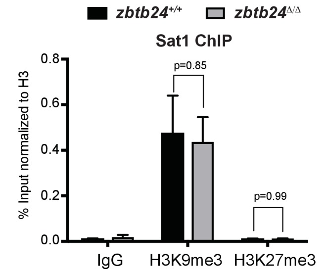 Figure 2—figure supplement 2.