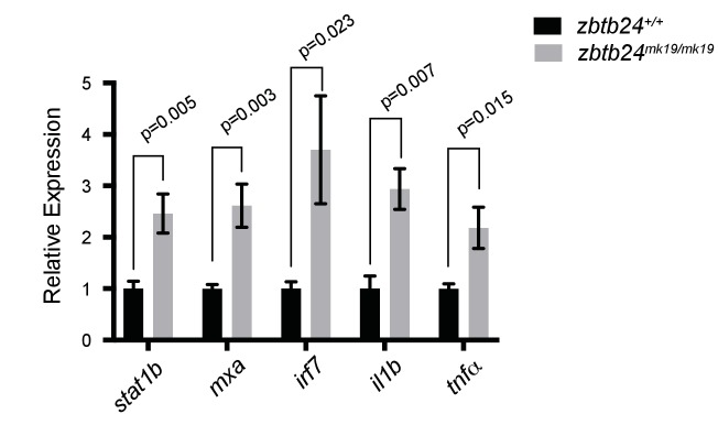 Figure 3—figure supplement 1.