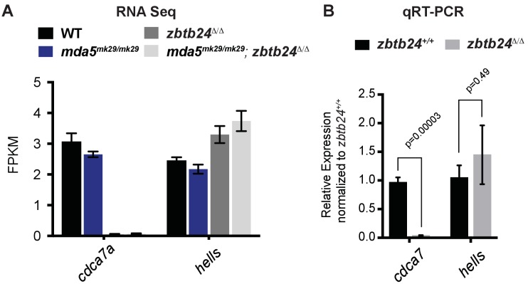 Figure 6—figure supplement 1.