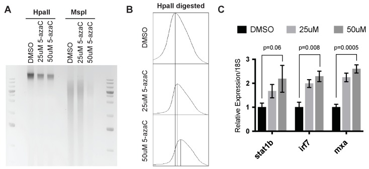 Figure 3—figure supplement 2.