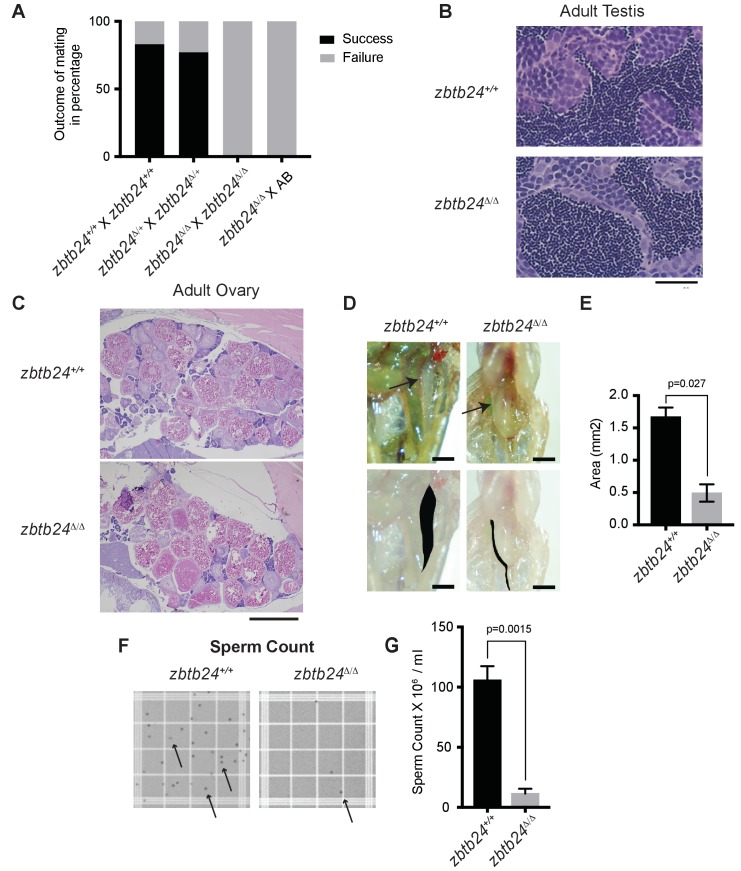 Figure 1—figure supplement 3.