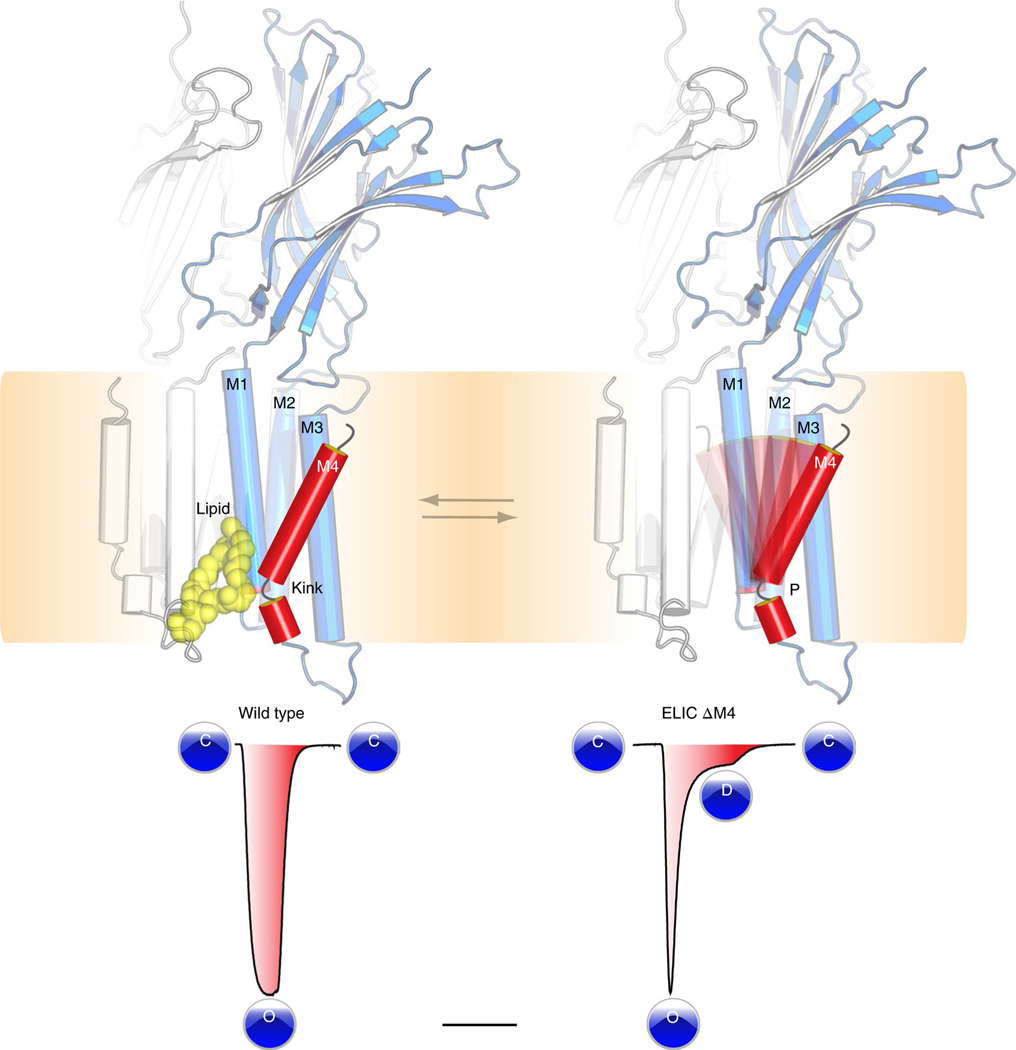 Fig. 6 |