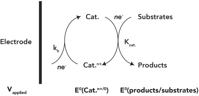 Figure 2