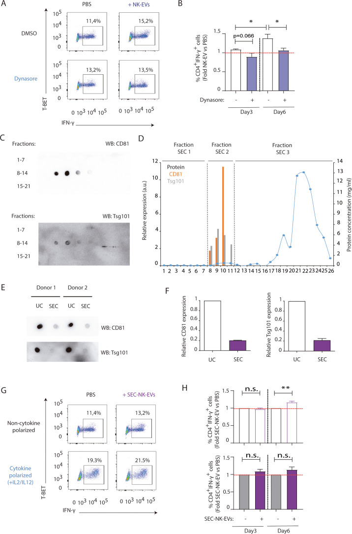 Figure 3—figure supplement 2.