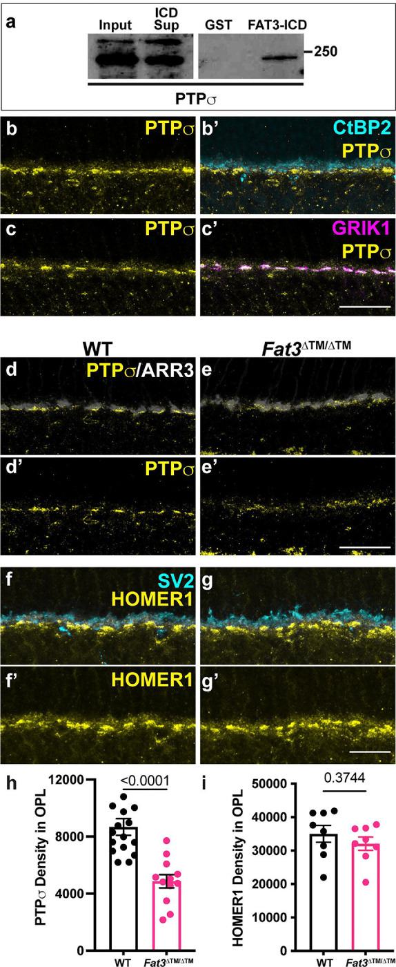 Figure 6: