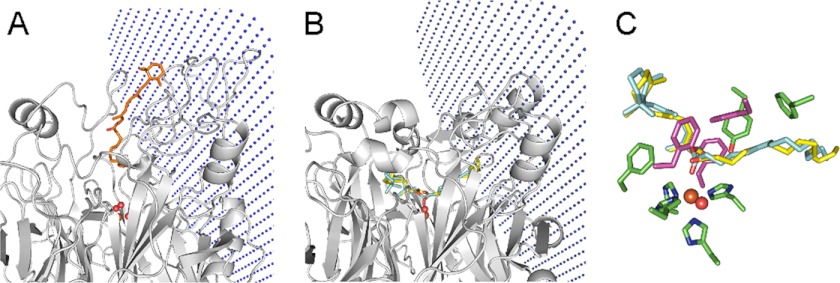 FIGURE 6.