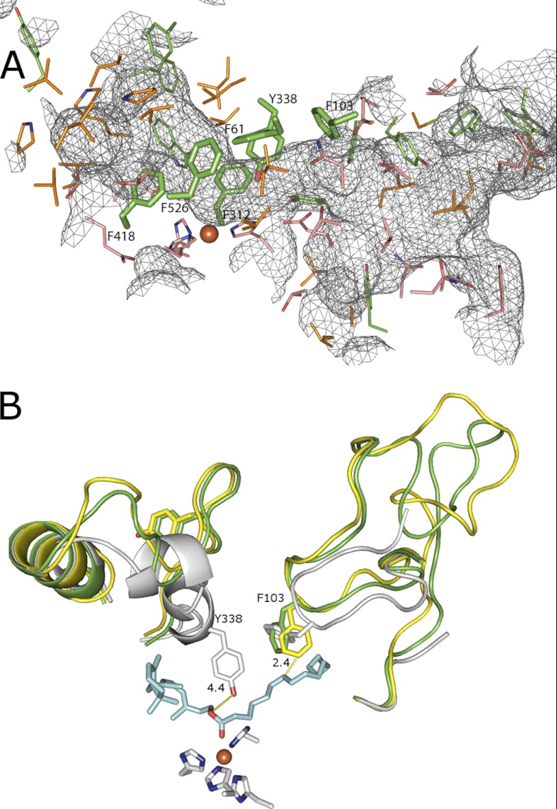 FIGURE 3.