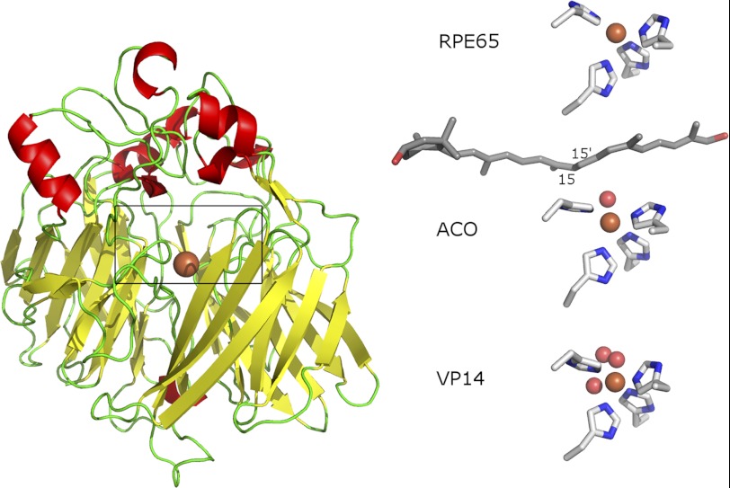 FIGURE 1.