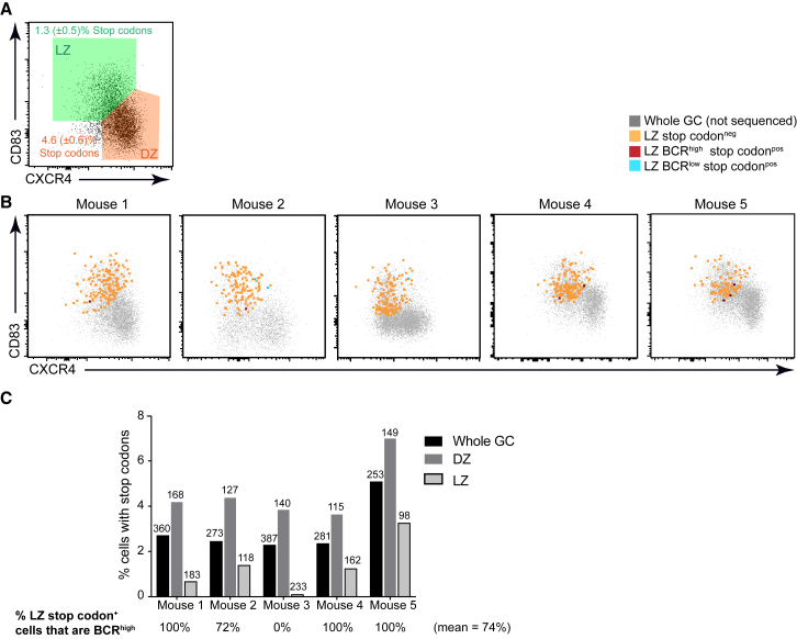 Figure 4