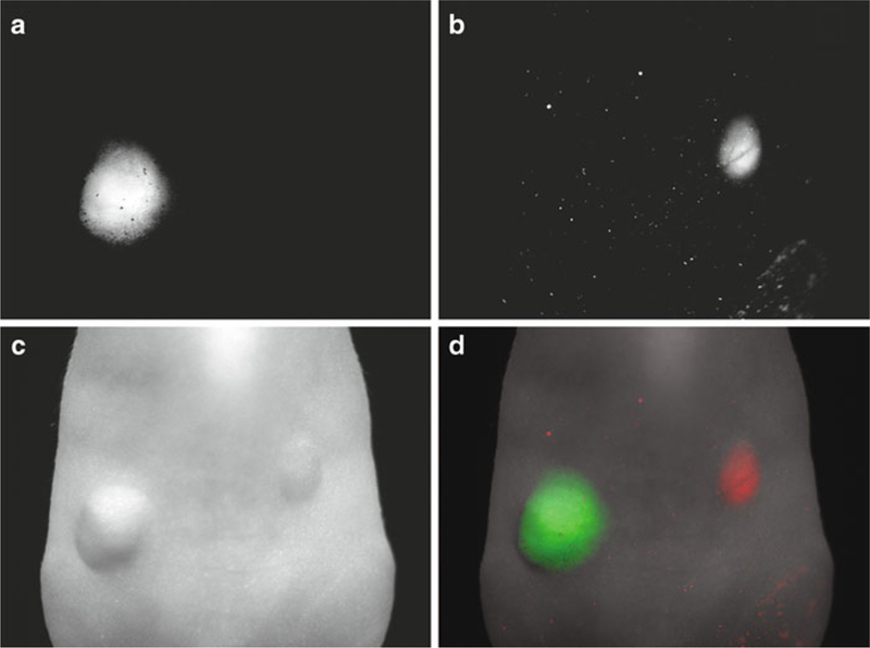 Fig. 4.