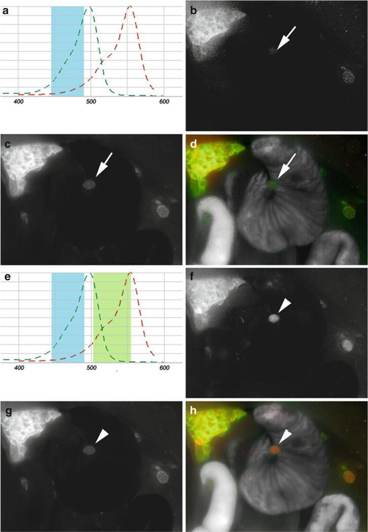 Fig. 3.