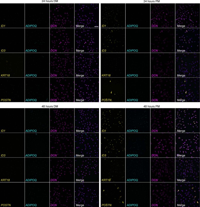 Extended Data Fig. 3