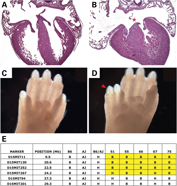 Figure 3.