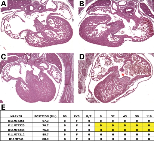 Figure 6.