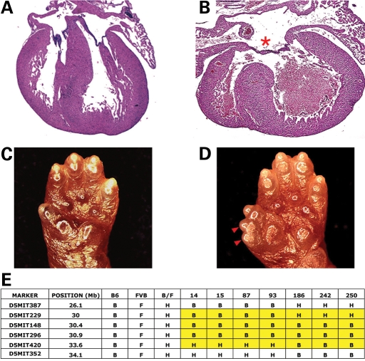 Figure 2.